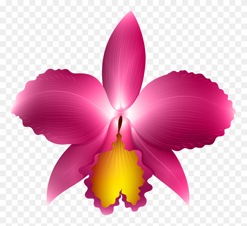 6000x5460 Pink Orchid Transparent Png Clip Art - Orchid Clipart