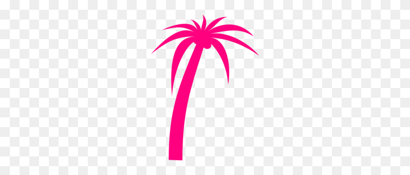 222x298 Pink Palm Clip Art - Palm Tree Clip Art Free