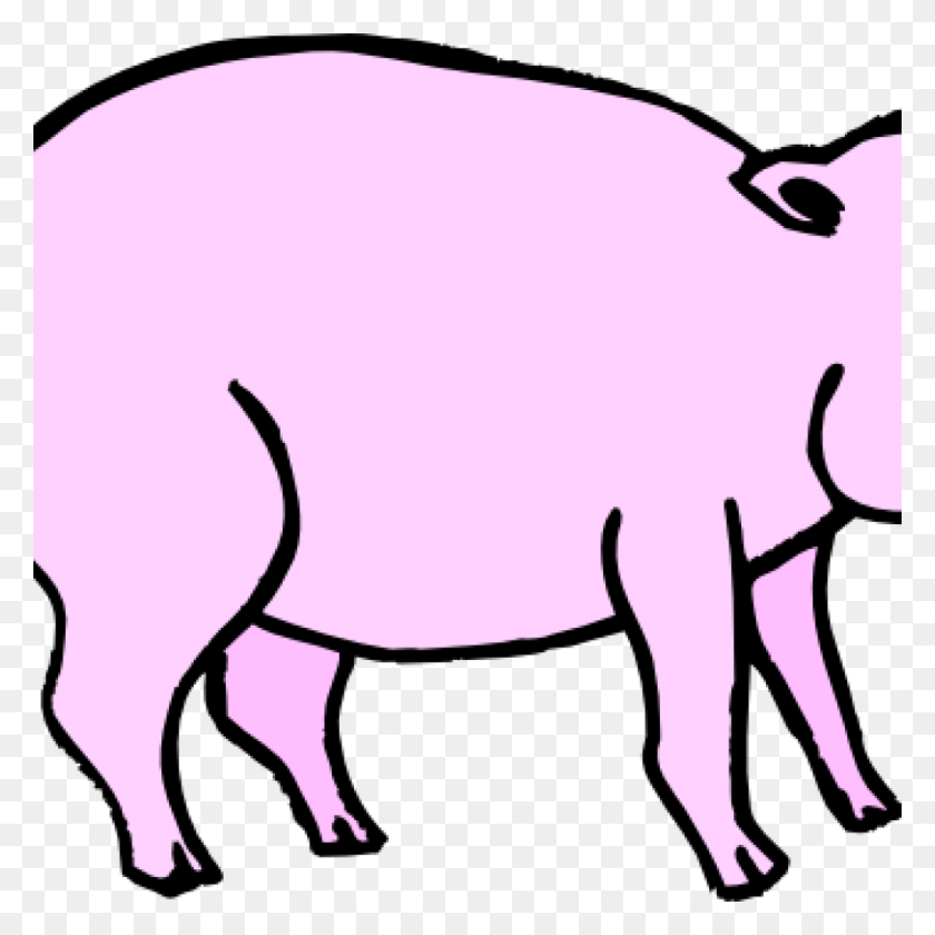 1024x1024 Pink Pig Clipart Free Clipart Download - Show Pig Clip Art