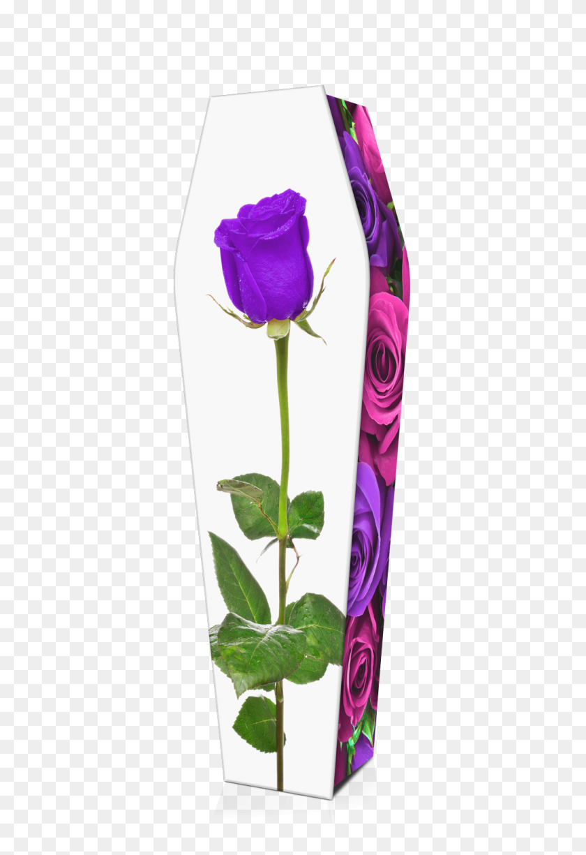 1037x1549 Розовые Фиолетовые Розы На Заказ Дизайн Гроба Гробы - Фиолетовая Роза Png