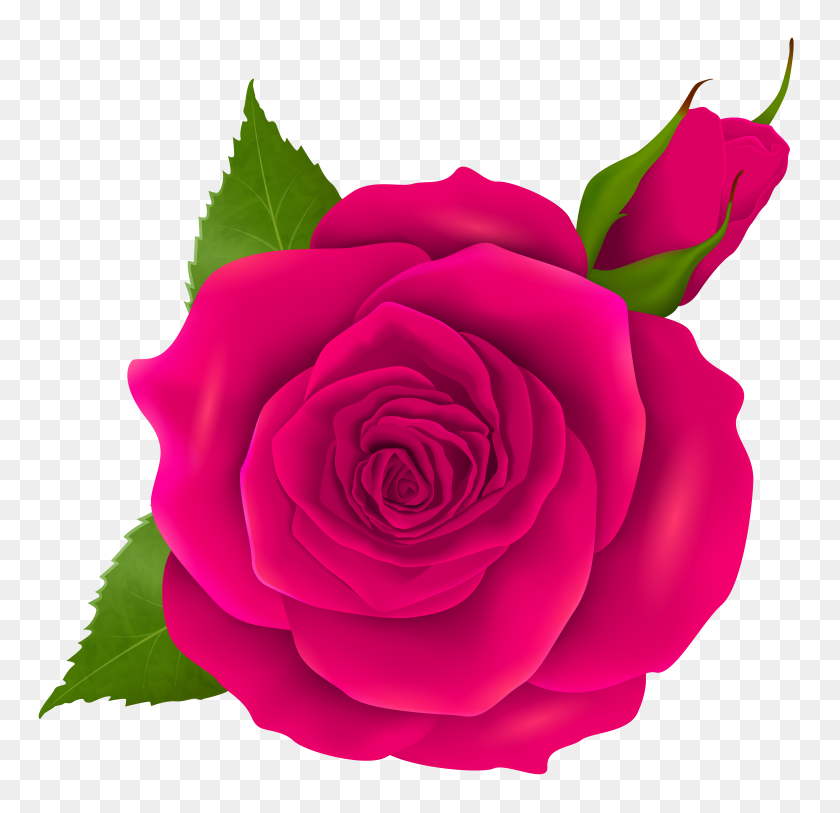 8000x7724 Pink Rose And Bud Transparent Png Clip - Rose Bud Clipart