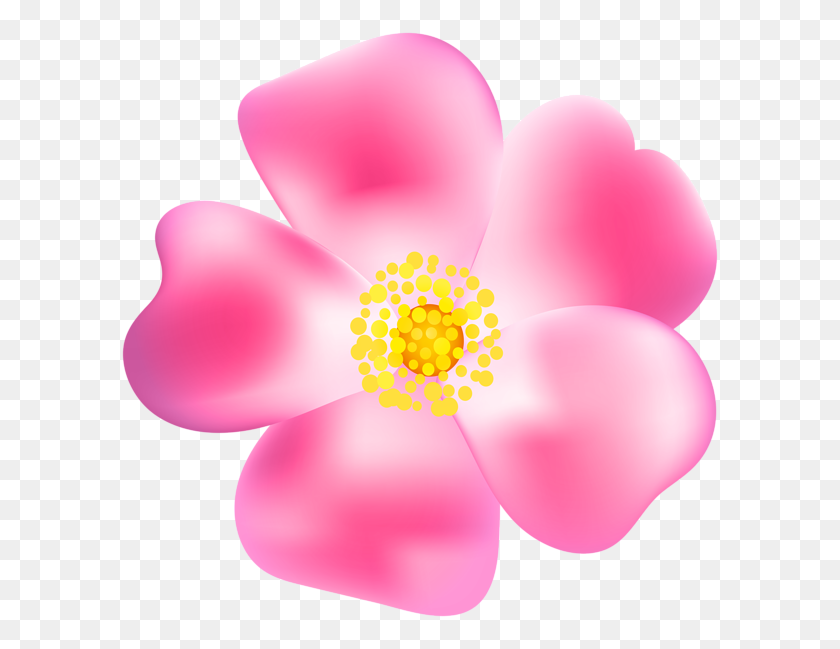 600x589 Pink Rose Blossom Png Transparent Clip Art Gallery - Blossom Clipart