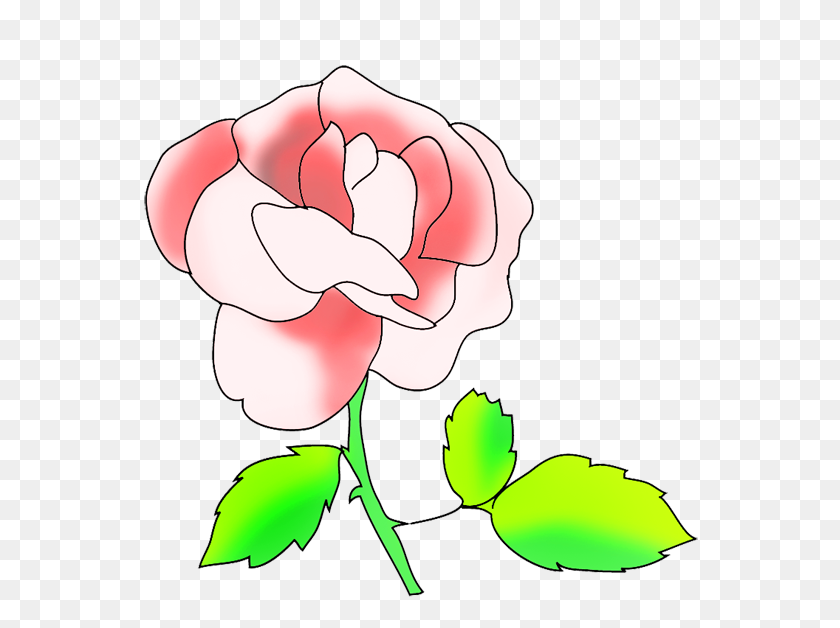 591x568 Розовая Роза Картинки - Потертый Шик Клипарт