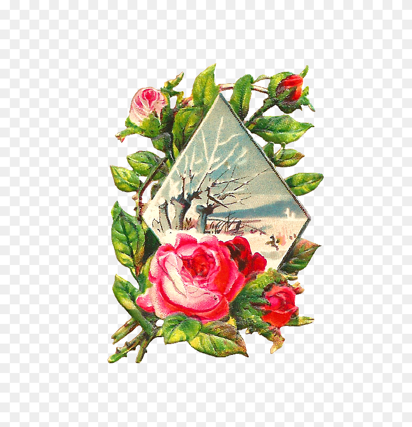 710x810 Розовая Роза Картинки - Цветочный Магазин Клипарт