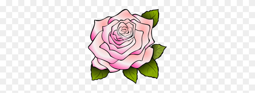 260x248 Pink Rose Clipart - Rose Vine Clipart