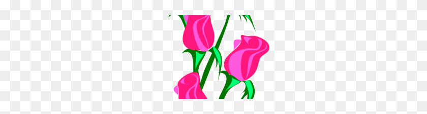 220x165 Розовая Роза, Большая Розовая Роза, Клипарт, Свадьба Мечты Диснея - Свадебный Клипарт Диснея
