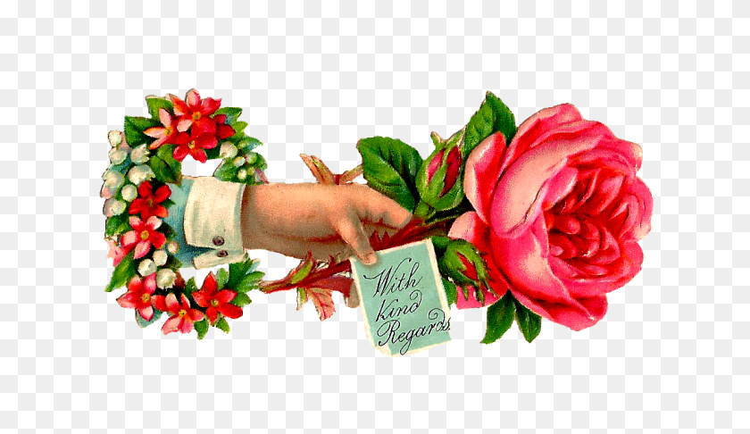 1099x601 Розовая Роза Клипарт Старинные Руки - Бесплатные Акварельные Цветы Png
