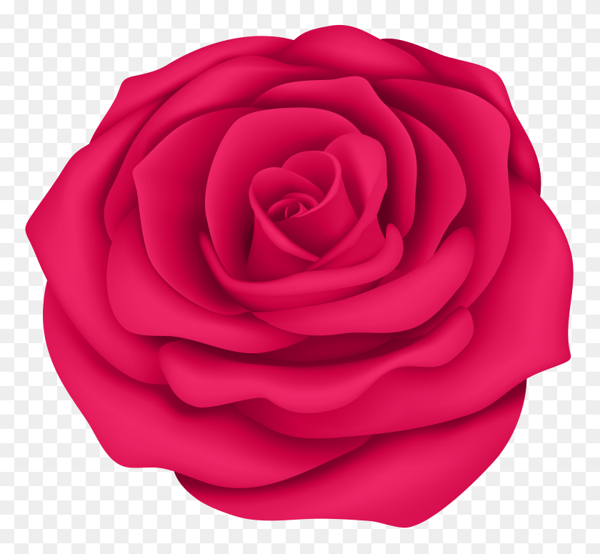 8000x7336 Pink Rose Flower Transparent Clip Art Gallery - Rose Flower Clipart