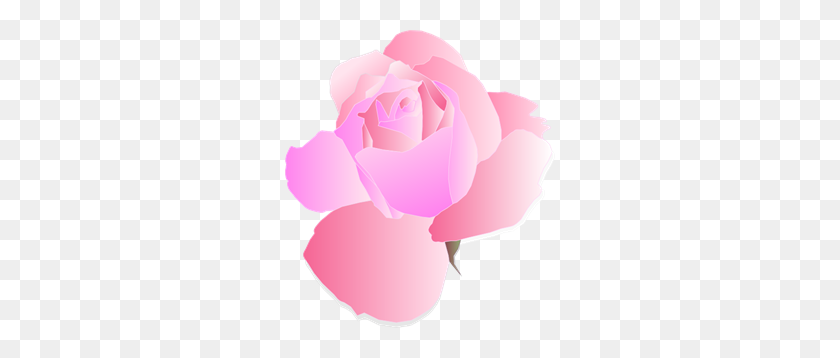 270x298 Розовая Роза Png Клипарт Для Интернета - Розовая Роза Png