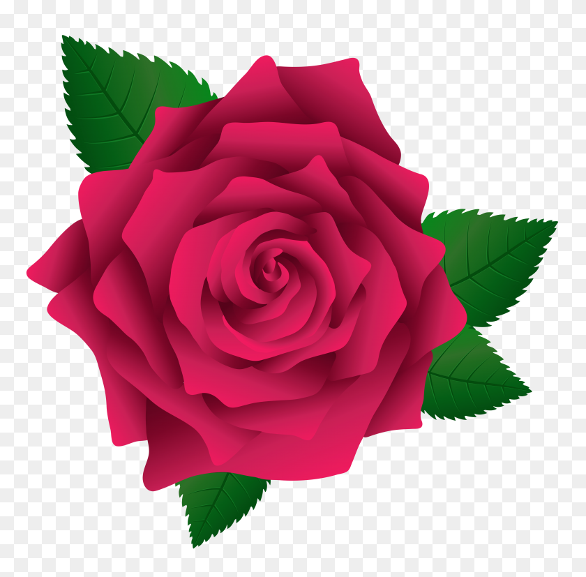5953x5854 Pink Rose Png Image - Rose Clipart PNG