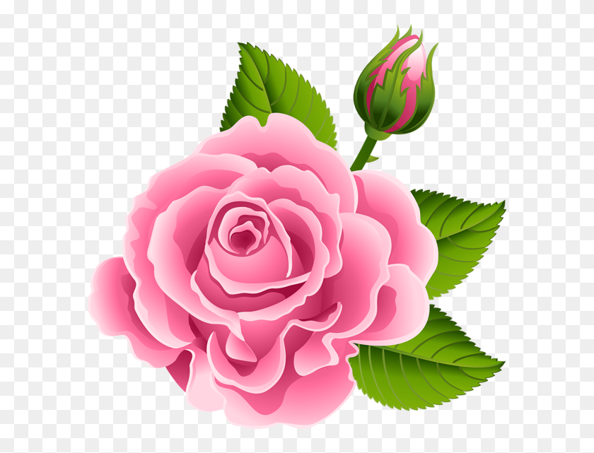 600x581 Pink Rose With Rose Bud Png Clip Art - Rose Bud Clipart