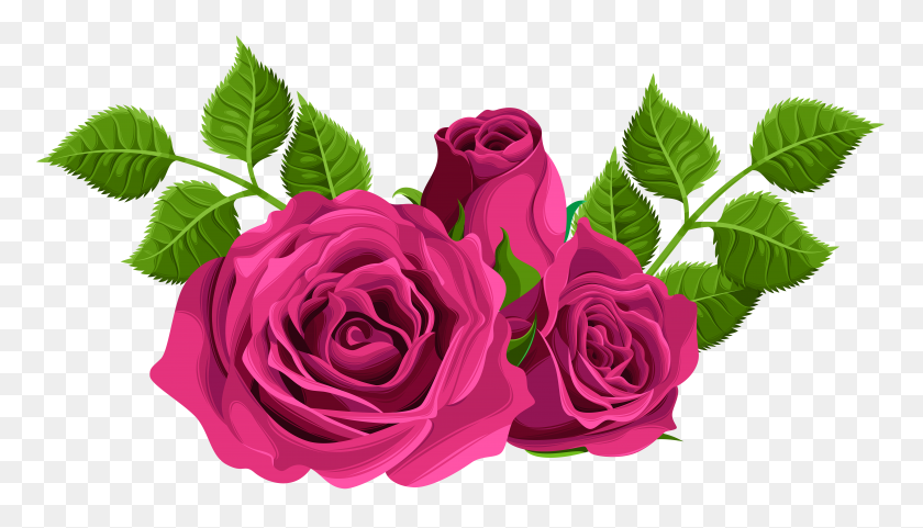 8000x4325 Розовые Розы Декоративные Png Клипарт - Розовая Роза В Png