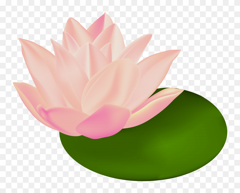 8000x6321 Pink Water Lily Clip Art Loadtve - Lily Pad Clipart Black And White