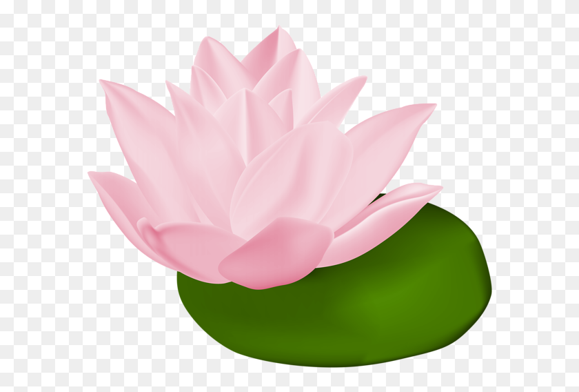 600x508 Pink Water Lily Transparent Png Clip Art Gallery - Water Background Clipart