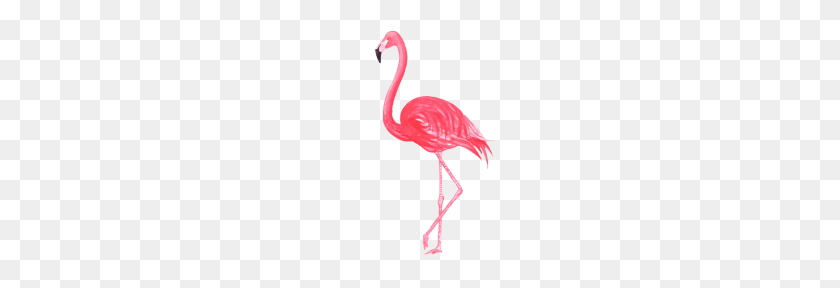 190x228 Pink Watercolor Flamingo - Pink Watercolor PNG