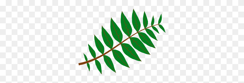 300x225 Pinnate Leaf Clip Art - Leaf Branch Clip Art