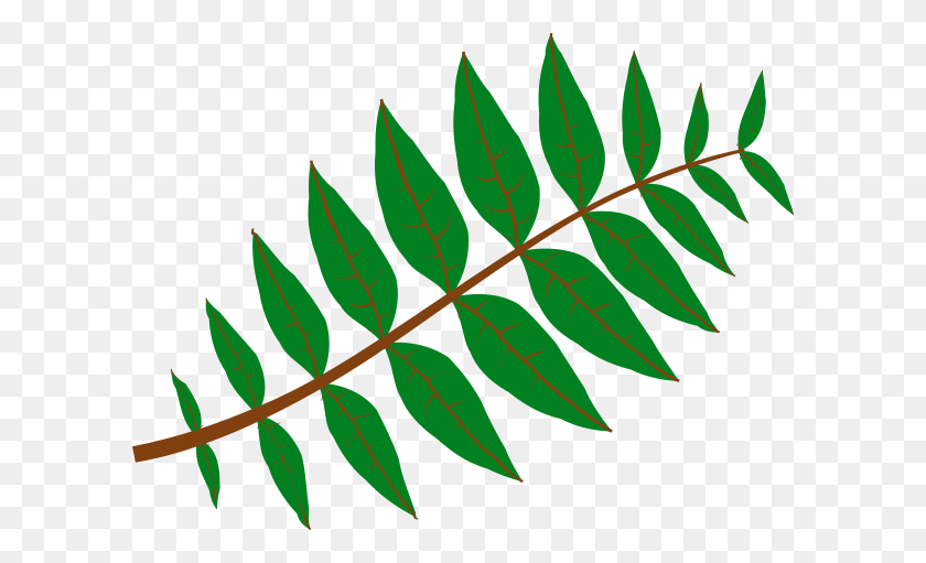 600x451 Pinnate Leaf Png Clip Arts For Web - Palm Fronds PNG