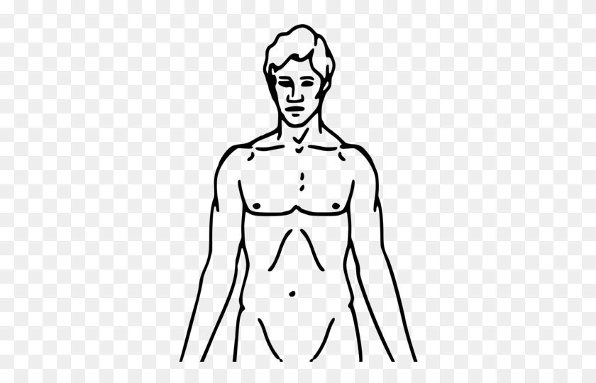 409x480 Pioneer Plaque Man Upper Body As Diagram Template - Body Outline PNG