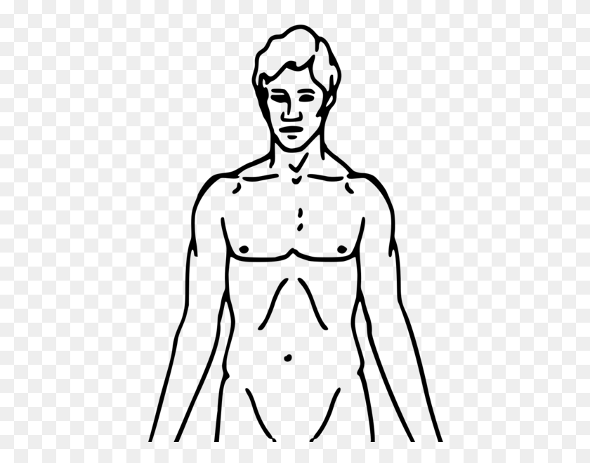 511x600 Pioneer Plaque Man Upper Body As Diagram Template - Chest Hair PNG