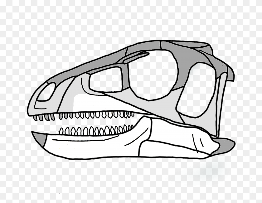 5385x4084 Pisanosaurus Cráneo - Dibujos Animados Cráneo Png