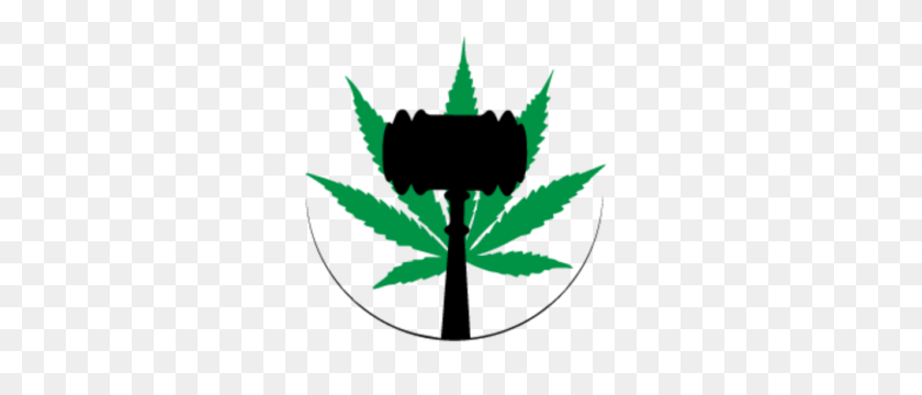 300x300 Pittsburgh Defense Attorney Cannabis Legal Solutions - Weed Leaf PNG