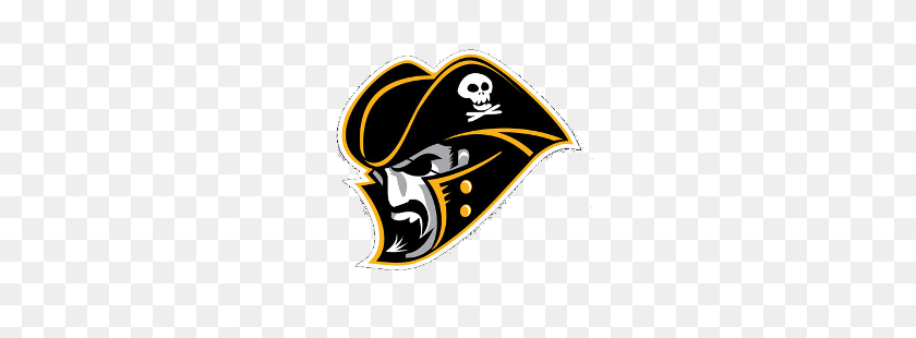 250x250 Los Piratas De Pittsburgh Logotipo De Concepto De Logotipo De Deportes De La Historia - Los Piratas De Pittsburgh Logotipo Png