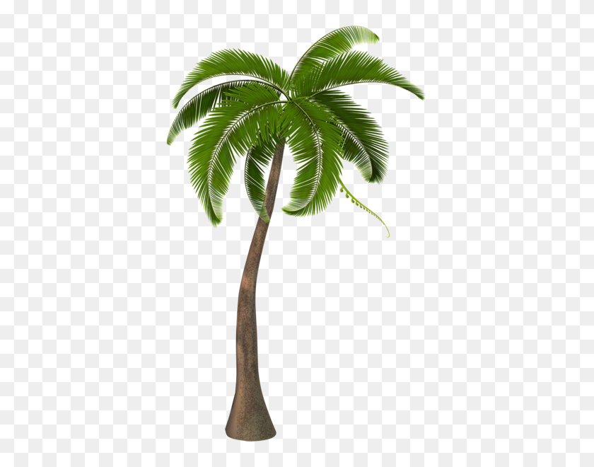 375x600 Pixels Palm Tree Png, Palm - Coconut Tree PNG