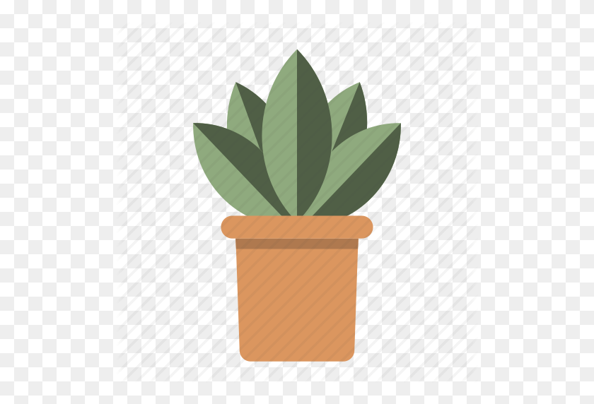 512x512 Plant' - Potted Plant PNG