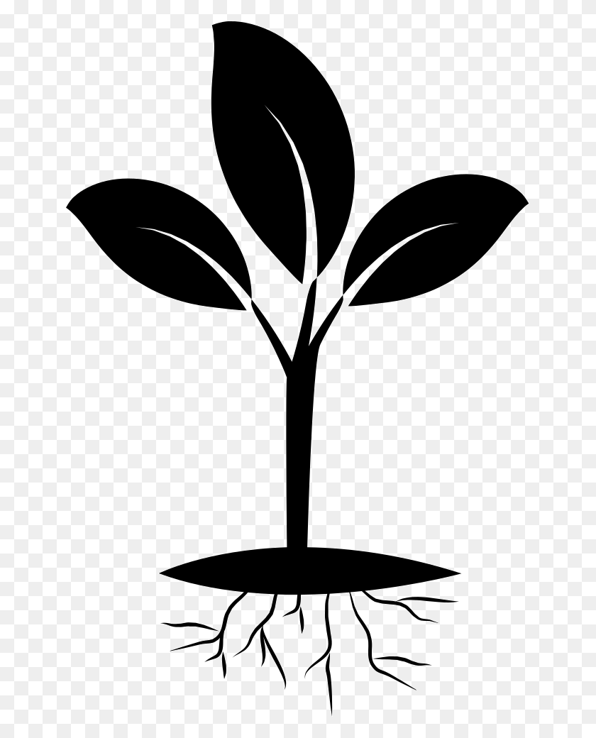 653x980 Plant And Root Png Icon Free Download - Root PNG