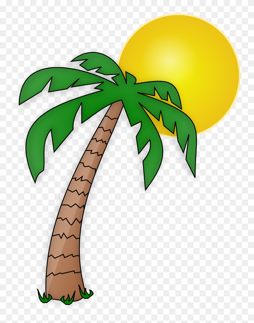 1856x2400 Plant And Sun Png Transparent Images - Palm Tree Clipart PNG