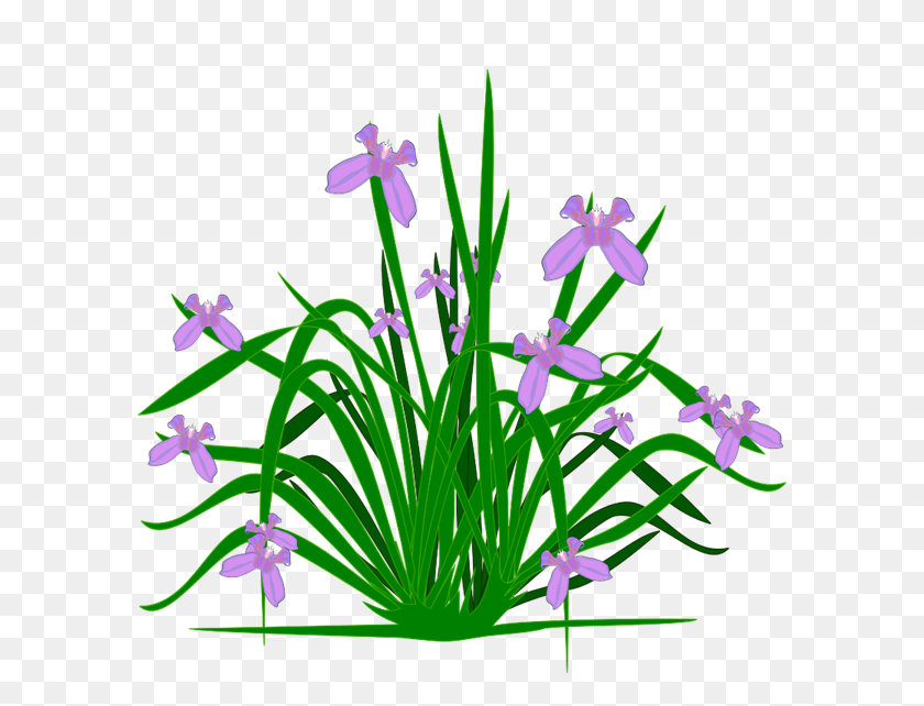 600x582 Plant Clip Art - Lavender Flower Clipart