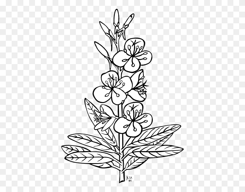 420x599 Черно-Белый Клипарт С Растениями. Посмотрите На Растение Черно-Белый Клип - Идея Клипарт Черно-Белый