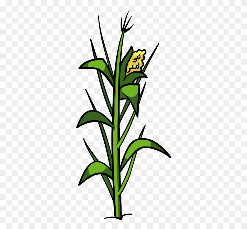 430x720 Plant Clipart Free Download Plant Clipart - Tobacco Plant Clipart