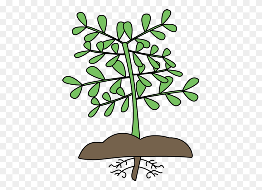 550x550 Plant Clipart Plant With Roots Mockingbird Nursery California - Nursery Clipart
