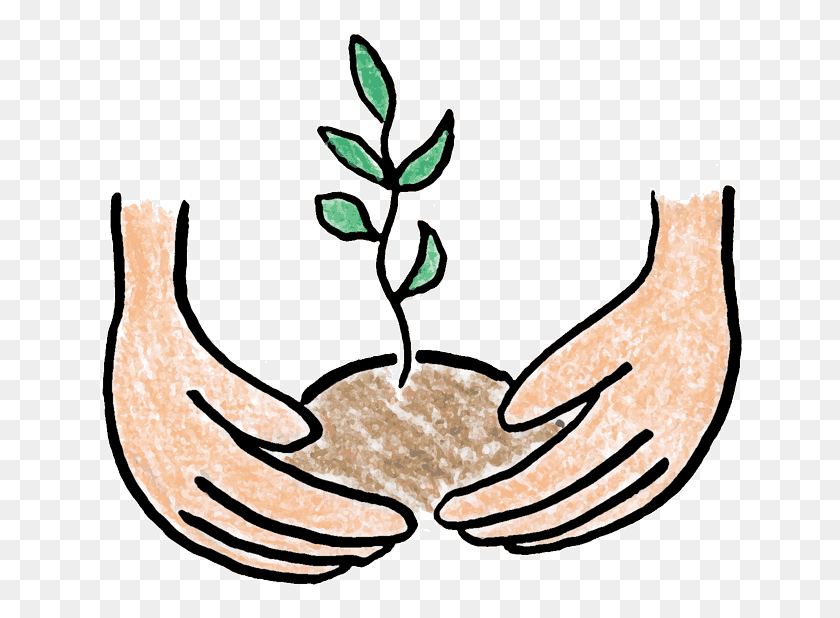 650x558 Plant Clipart Tree Growing - Family Tree Clipart