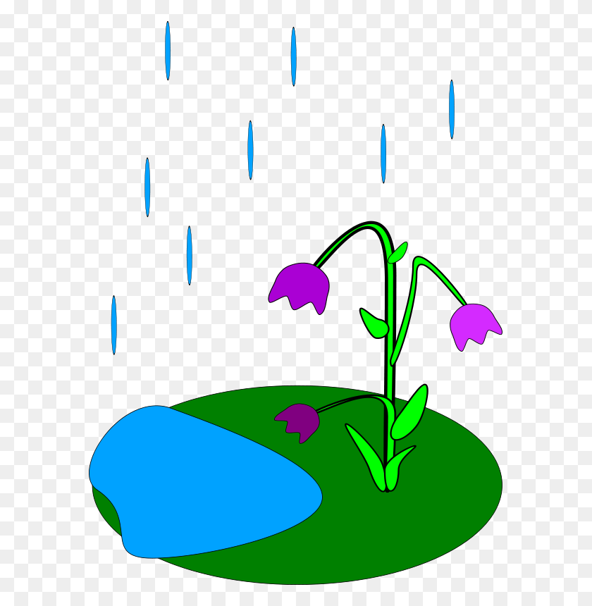 587x800 Plant Free Stock Clipart - Next Clipart