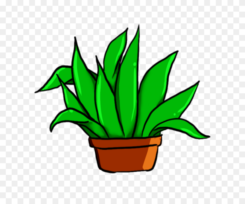 640x640 Planta, Verde, Hoja Png Y Para Descargar Gratis - Acuarela Cactus Png