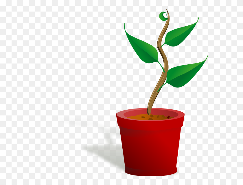 600x581 Plant Growing Png Clip Arts For Web - Plant Clipart PNG