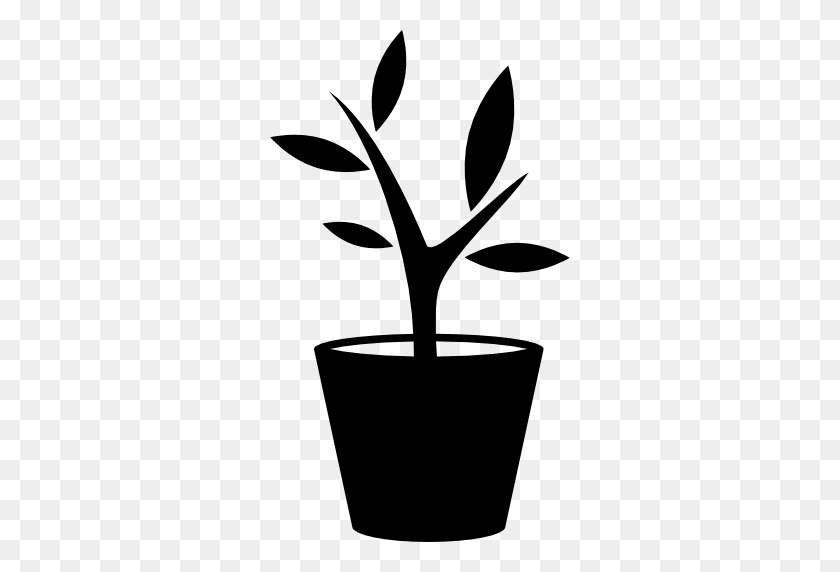 512x512 Plant In A Pot - Potted Plant PNG