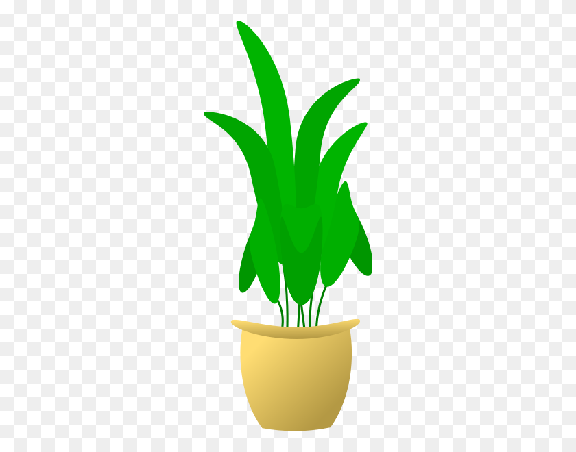 246x600 Растение В Горшке Png Клипарт Для Интернета - Комнатное Растение Png