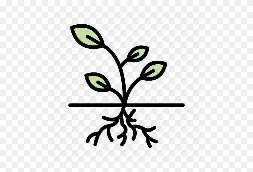 512x512 Plant, Root, Roots Icon - Root PNG