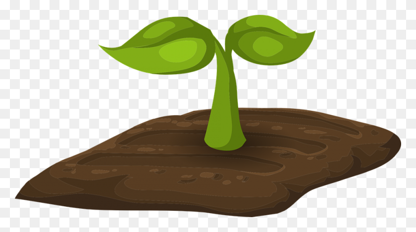 960x504 Plant Sprout Clip Art Free Cliparts - Sprout Clipart