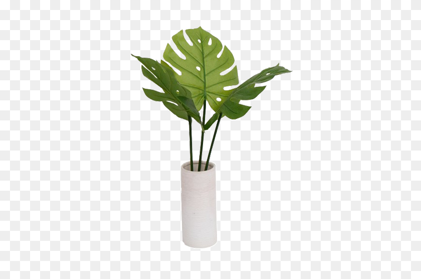 350x496 Plant Vase Png Png Image - Vase PNG