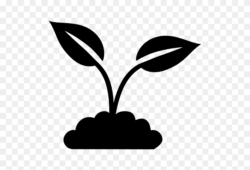 512x512 Plant With Leaves - Plant Clipart PNG
