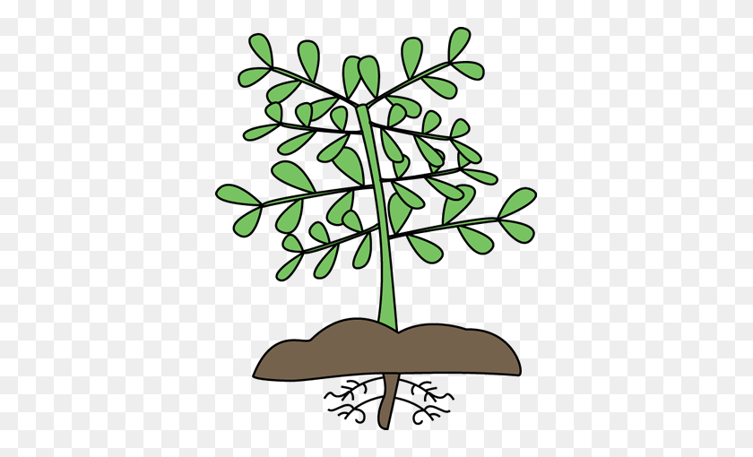 359x450 Plant With Roots Clip Art - Plant Stem Clipart