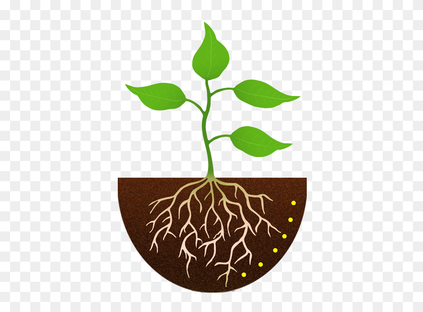 400x560 Plant With Roots Clip Art - Growing Plant Clipart