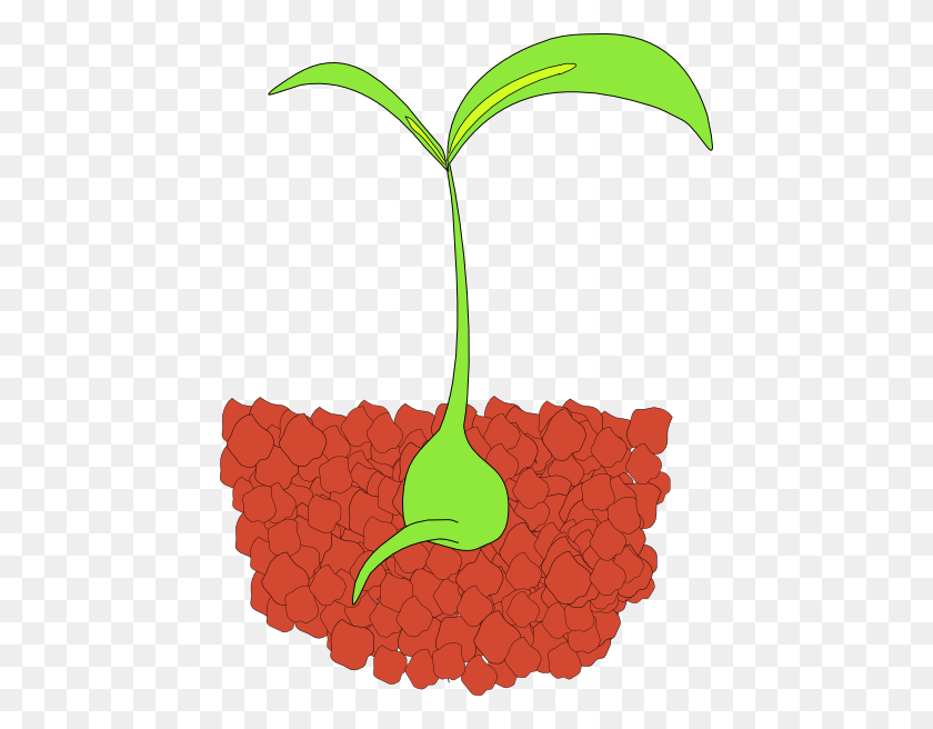 444x596 Plant With Roots Clipart - Plant Roots Clipart