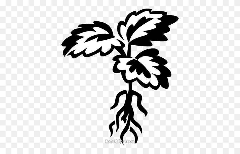 410x480 Растение С Корнями Роялти Бесплатно Векторные Иллюстрации - Корни Растений Клипарт