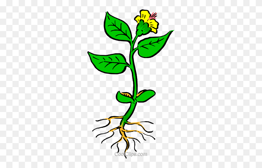 279x480 Plant With Roots Royalty Free Vector Clip Art Illustration - Roots Clipart