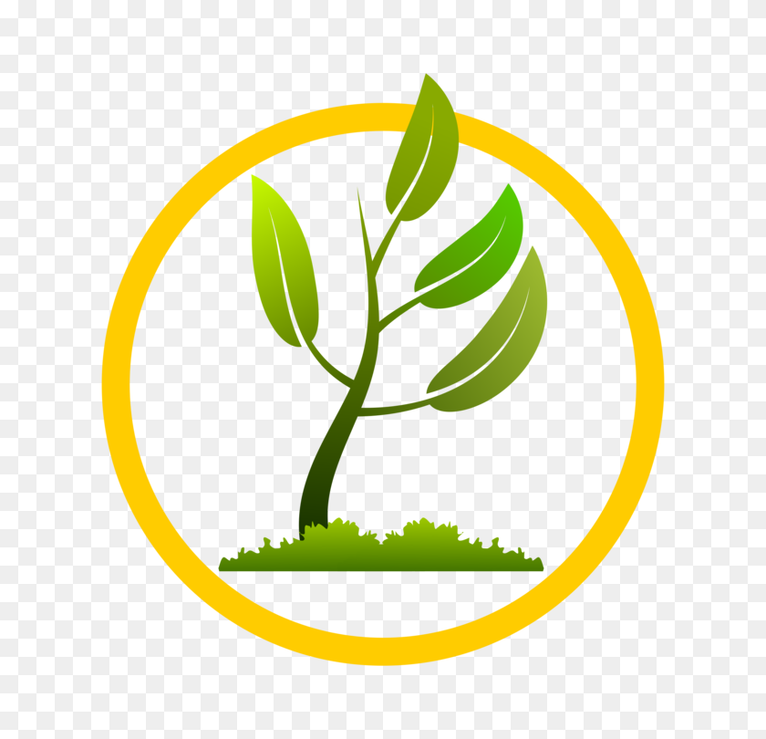 750x750 Plants Computer Icons Image Formats Leaf Vine - Growing Up Clipart